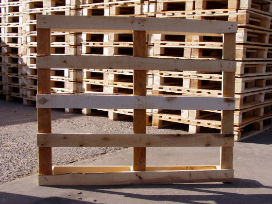 verlorenpallet1000x1200.jpg